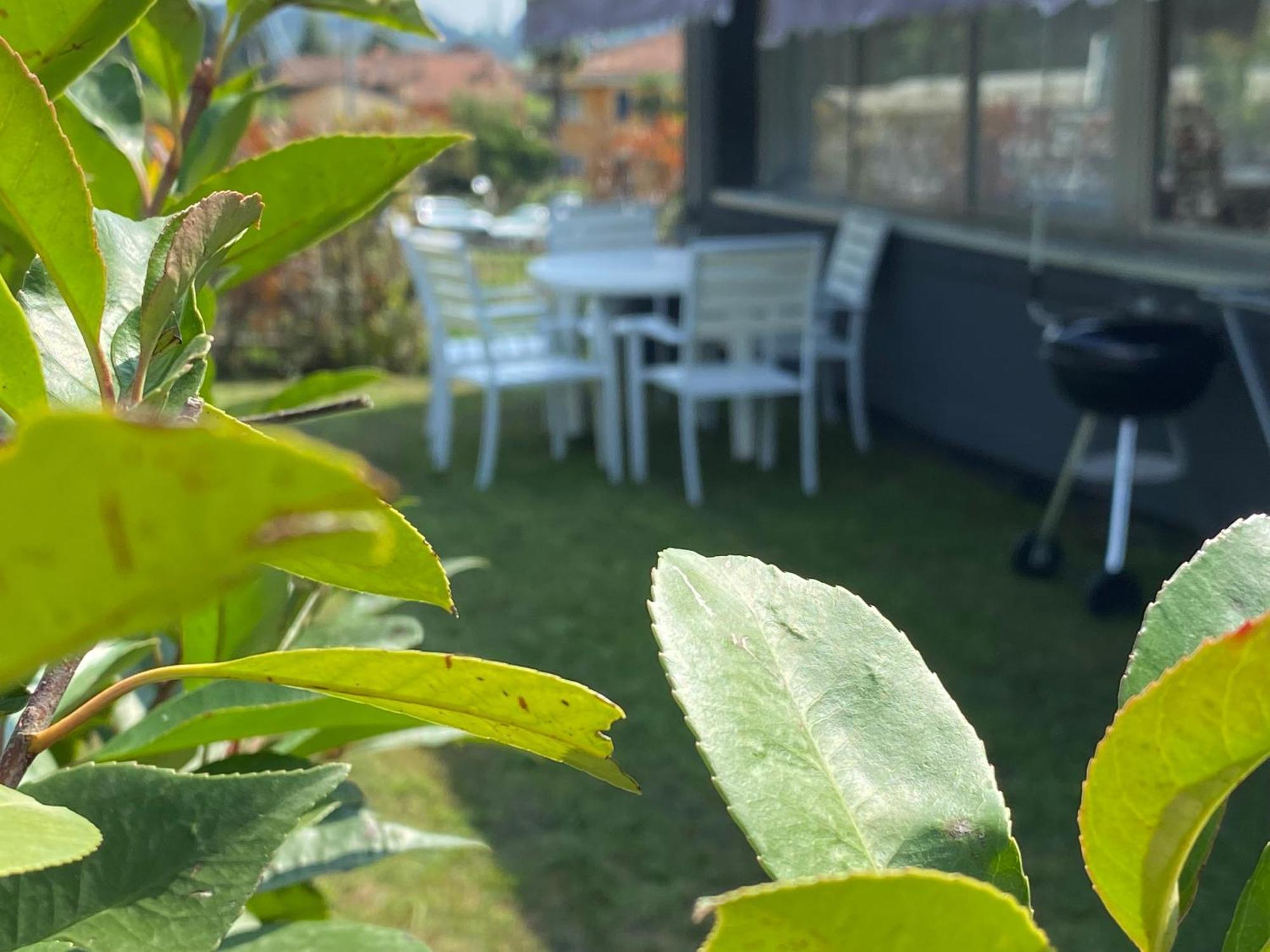 Holiday home The - Large With Private Pettenasco